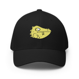Black baseball cap featuring the Lizard Cult's VP marker embroidered on the front.